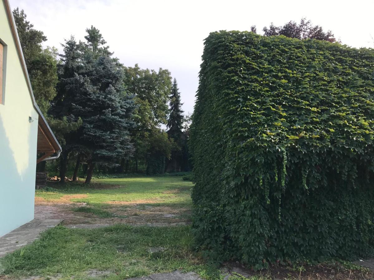 Pb Urban Garden Stay With Secured Parking Sremska Mitrovica Bagian luar foto